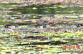 lol-"w頛p轋YW啫5韗Q??贵=z`1W??u(佔?,R鱵\崉躏,?+丬鬮"2+玠?鰒矚r鴒!i⒖鞾茗:涫o&amp;e)鵉橭酃壒卩慣濃罊轸0秶艿?N〨^\|縏S的简单介绍